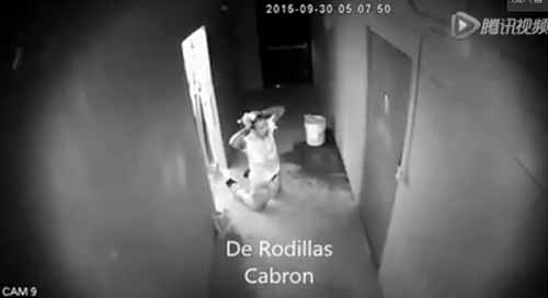  店主给小偷做密室  机智助店主免遭天价损失(组