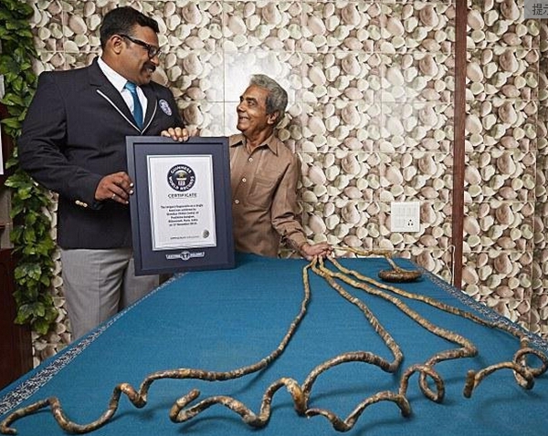 指甲62年不剪如铁丝弯曲无规律 网友:他称王绝无人敢当第二-指甲62年不剪-东北网社会