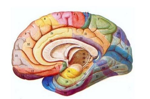 女子患超忆症 出生12天后所做梦宛如昨天鲜明