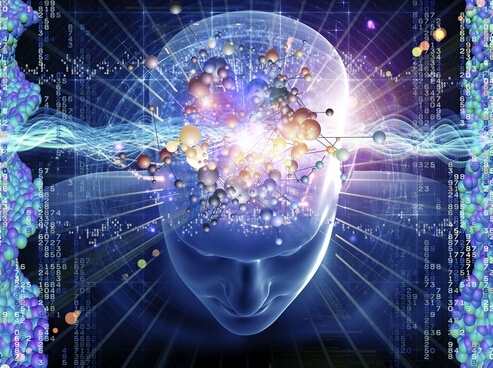  英女子超强记忆  逐字逐句记忆起哈利·波特系