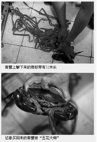  青蟹绑31米绳 售卖 网友:我这绳子买的好贵--东