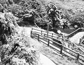  云南多地十月降雪  十一长假刚过丽江玉龙雪山