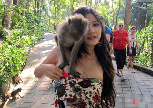 野猴袭胸女游客 美女<em>胸罩</em>被色狼<em>扯下</em>巨乳裸露