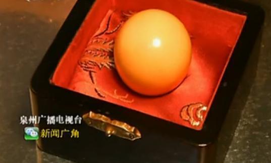  黄螺吐出龙珠  海鲜店老板切螺切出42.7克拉美