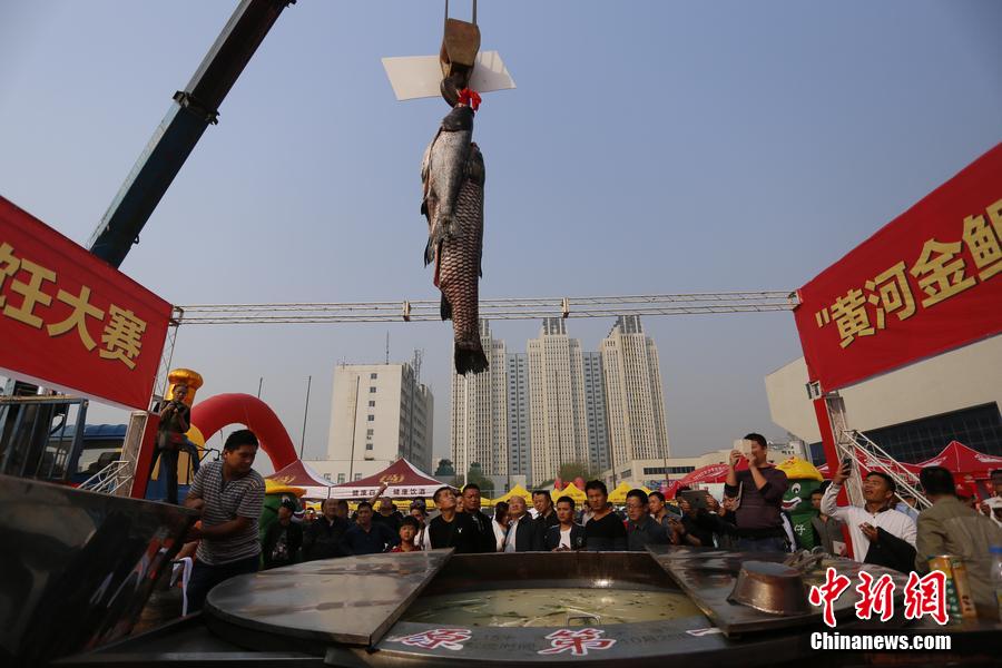  郑州 161斤 鱼王熬汤  环卫车上水 起重机吊鱼(图