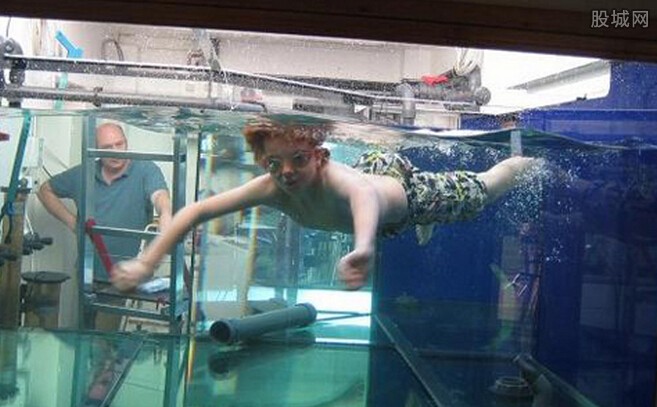  装鱼缸供儿游泳  疯狂计划花费147万英国人真会