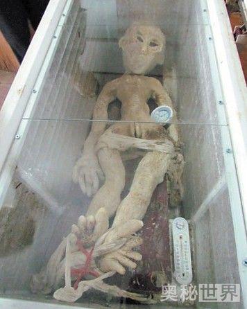 电死外星人事件真假大揭秘-外星人|方面|伪造|帖