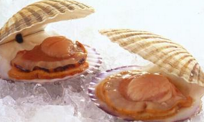 组图:15元一个 三亚餐厅天价扇贝  盘点近期天价