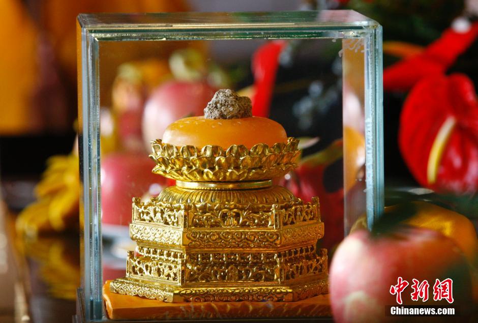 海内外高僧大德云集南京 出席 佛顶骨舍利 供奉