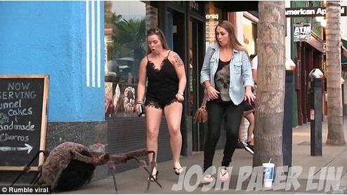 妹子街角偶遇巨型 蜘蛛 险被吓尿裤子 遭人恶搞