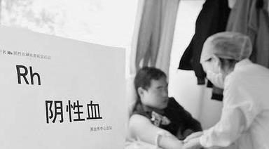  医生千里捐熊猫血  白衣天使与死神赛跑--东北网