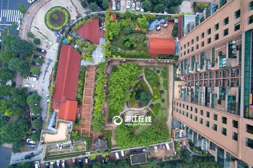 杭州 最牛空中后花园 曝光 土豪耗资数十万打造