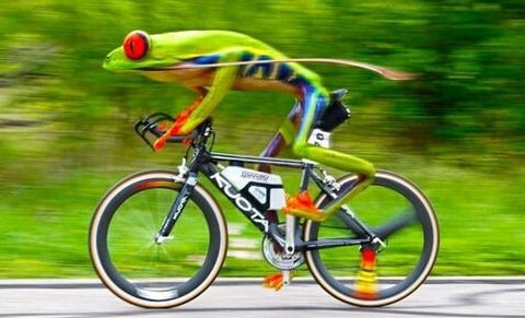  自行车超速吃罚单 超900美元 公园内飙车时速达