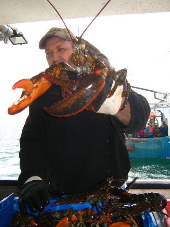 从加拿大海湾到中国餐桌:一只龙虾的双十一之