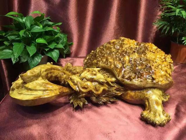 纯阳之神兽,权利与长寿的象征--黄金樟龙龟-神兽