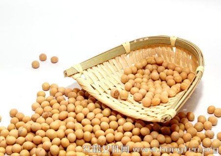 日常食用黄豆具有10种显著的养生作用的图片 第4张