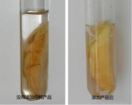 屈臣氏燕窝沁白臻颜柔肤水 秋冬肌肤解渴新招