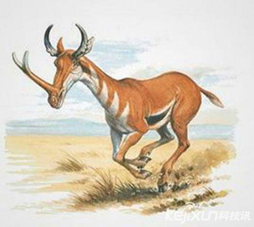 人类祖先原是谁?盘点:世界七大史前动物始祖