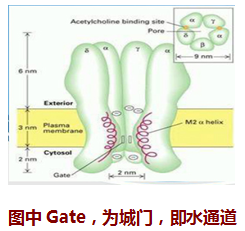 1445318141104515.png 3.png