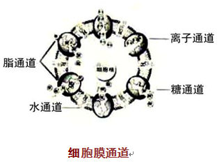 1445318174104136.png 4.png