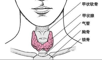 女护士看电视救人主持人脖子有肿块什么是甲状