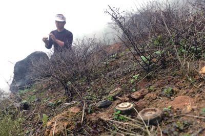 雷区内,地雷有的裸露在地表,有的深埋于地下