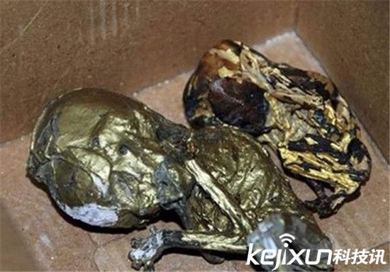 台湾男子走私镀金婴儿尸体 称用来做法"养小鬼"