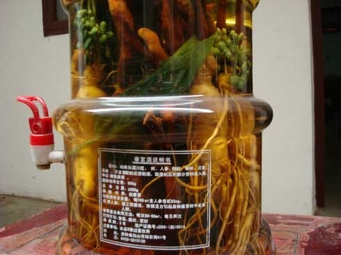 人参泡入60度白酒中近八年 开出白色小花神奇的一幕 专家解惑真相(组图)