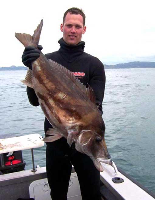 世界10大具有超能力的人,华人战胜雨人原型