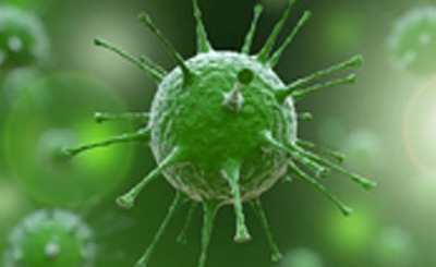 寨卡病毒蔓延英国 小头儿子将成群出现?-卡病