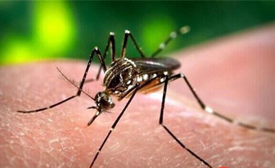  寨卡病毒蔓延  人类又将面临末日危机-卡病,病毒