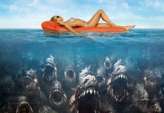 寒潮致罗非鱼冻死 恐怖食人鱼背后10大不为人知的秘密--东北网娱乐