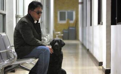  北京导盲犬被送回  难忍被骂送回后留纸条道歉
