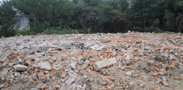 不爱城市爱农村 白领卖掉房子回乡下盖小楼-农村