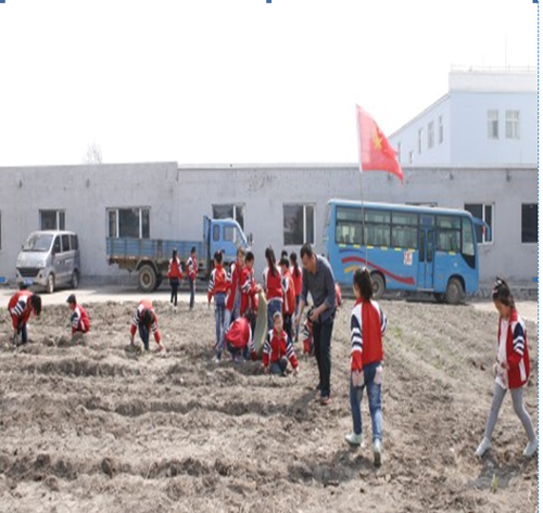 密山市三爱主题教育概况