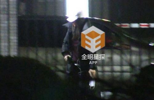 井柏然倪妮被拍商场逛街 举止亲密