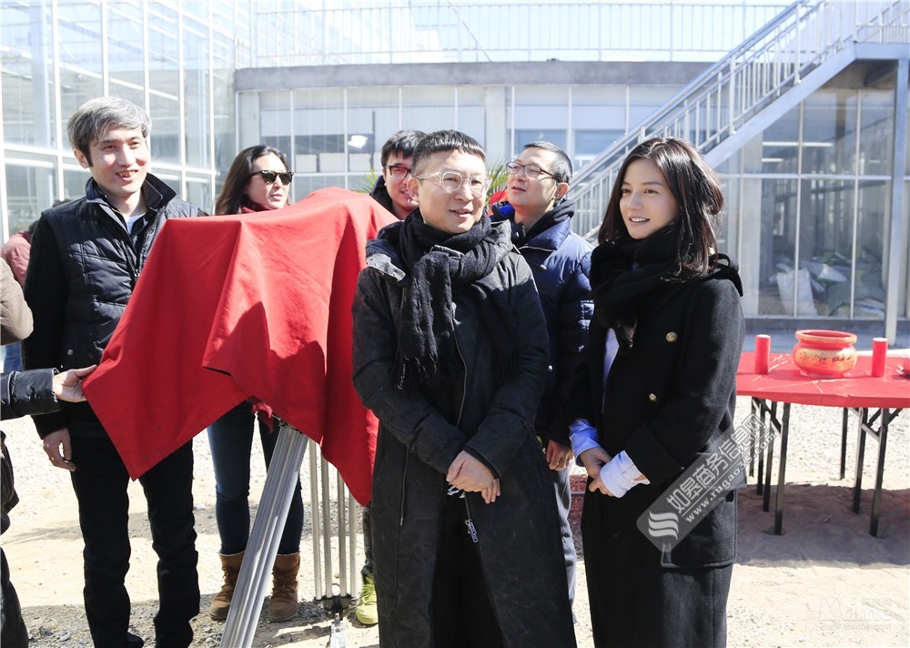  赵薇导演新片开机  颠覆致青春更深延伸艺术性