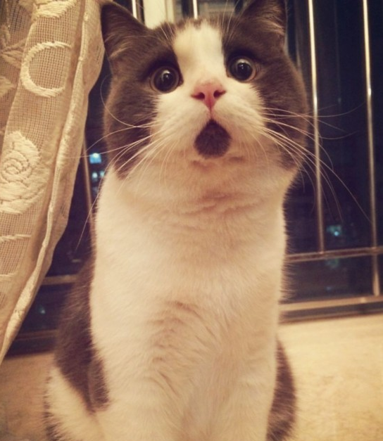 囧! 女子街头莫名被打 竟是认错了人 网友:给跪了