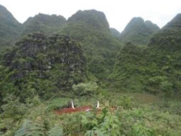 毁坏他人祖坟被判:赔偿重建费5万、精神抚慰金