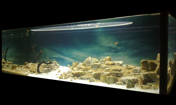 男子被困原始森林 竟然徒手打造出别墅-别墅