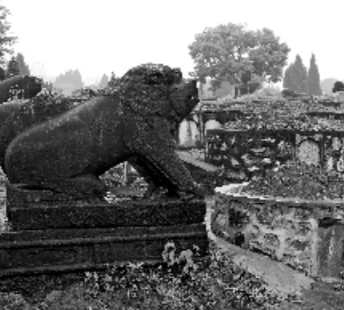 多地太平间 殡仪馆积尸严重  尸体最多放达21年