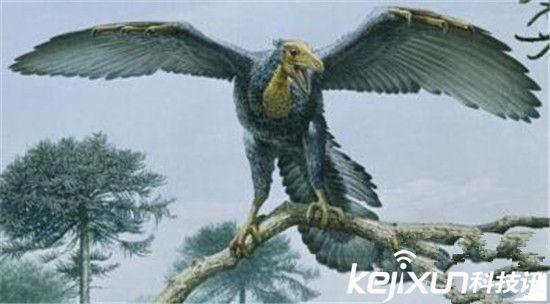 动物世界!专家称始祖鸟不是鸟并非最早鸟类-始祖鸟