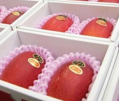 日本太阳之子芒果2个1.2万 全球最珍贵饼干:百