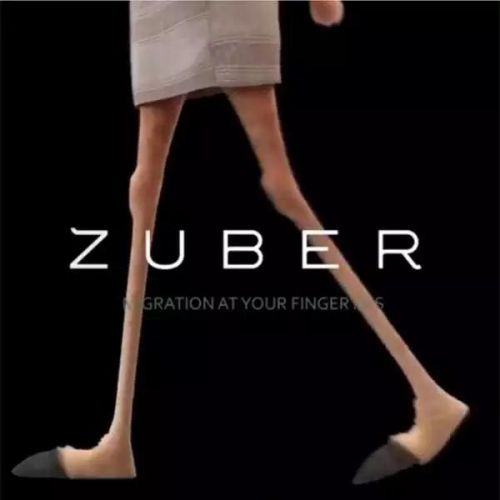  动物城超15亿 (组图)疯狂动物城的25个彩蛋你知