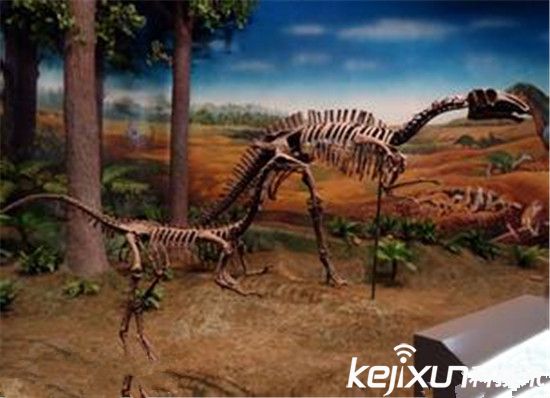 侏罗纪公园不会出现 恐龙DNA太久远无法克隆