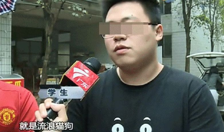 广州高校男生把猫残忍扔下楼 道歉信曝光