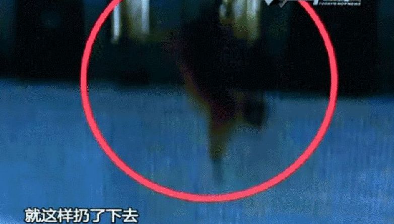 广州高校男生把猫残忍扔下楼 道歉信曝光