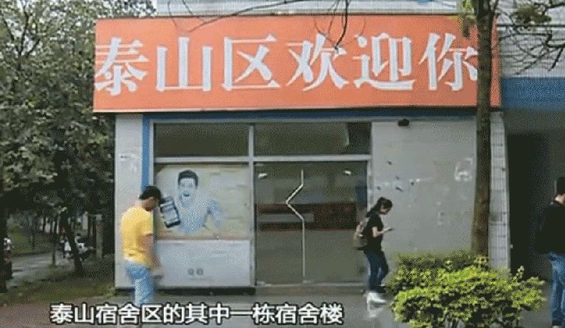广州高校男生把猫残忍扔下楼 道歉信曝光