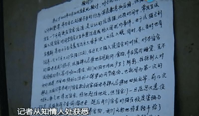 广州高校男生把猫残忍扔下楼 道歉信曝光