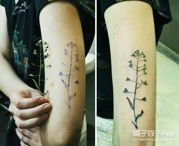 想纹身吗不撞图案吗？一片树叶就能帮到你！